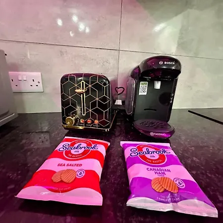 Luxury Industrial 公寓 利兹