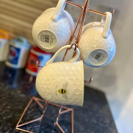 Luxury Industrial 公寓 *